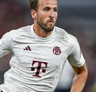 预计在圣诞 预计在圣诞